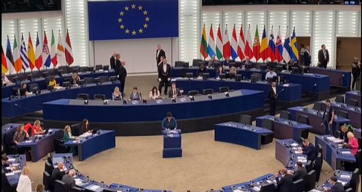 Das Plenum des Europäischen Parlaments in Straßburg - die Fachsitzungen finden in Brüssel statt